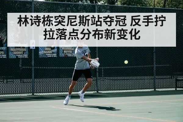 林诗栋突尼斯站夺冠 反手拧拉落点分布新变化